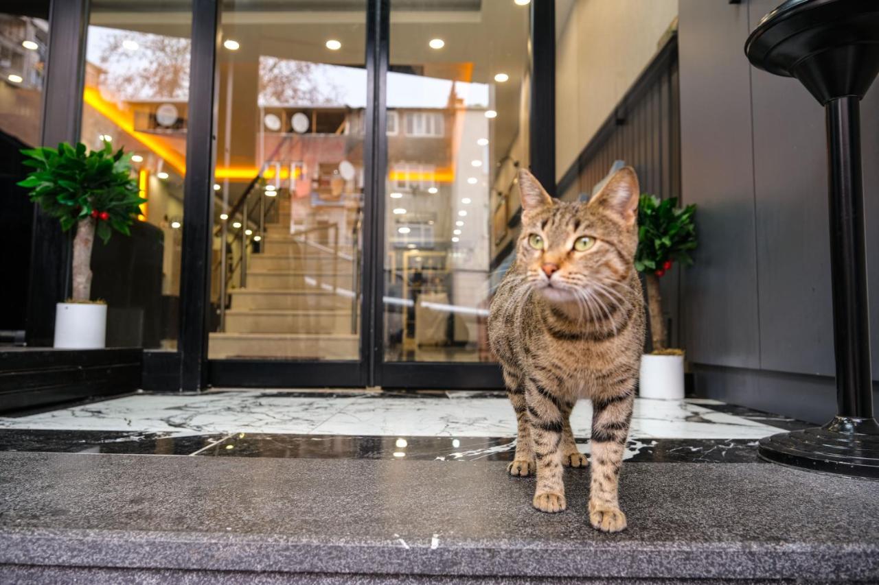 Calenberg Hotel Istanbul Eksteriør bilde